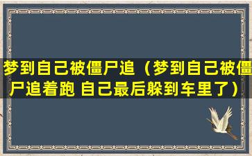 梦到自己被僵尸追（梦到自己被僵尸追着跑 自己最后躲到车里了）